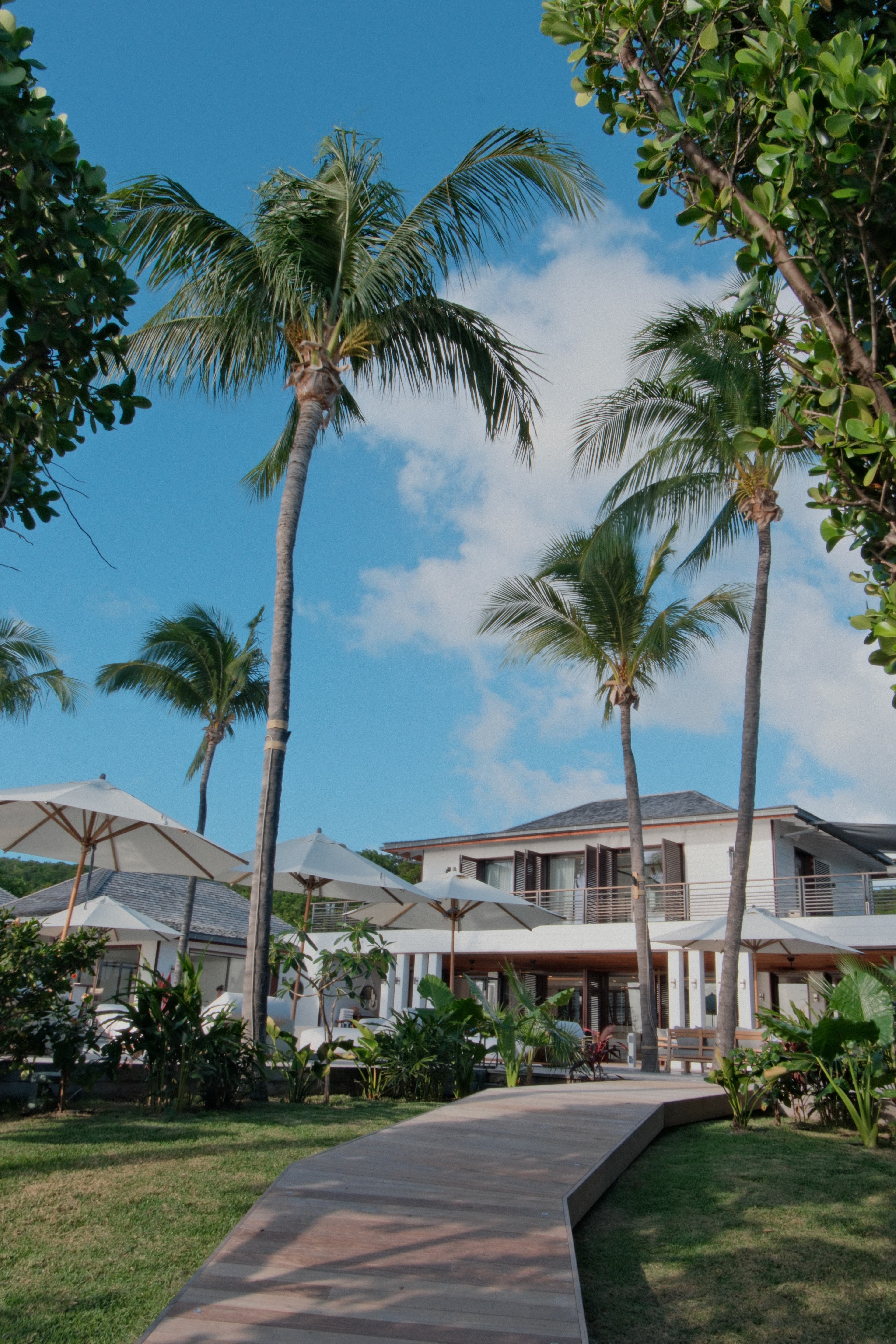 Blanc Bleu — The Estate